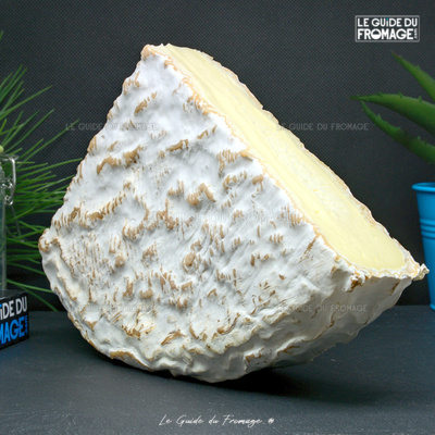 Fromage Brie de Melun (Lait de Vache)