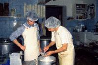 Formation à la gestion d'un troupeau de chèvres et fabrication du fromage mai 2011