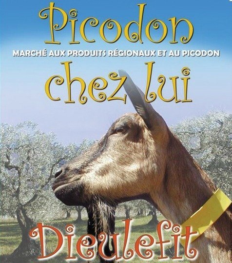 Picodon chez lui à Dieulefit (26) - Août 2018