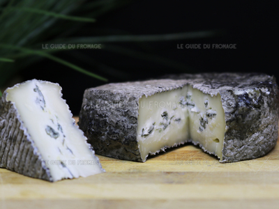 Fromage Bleu Cendré (de la Tremblaye) (Lait de Chèvre)