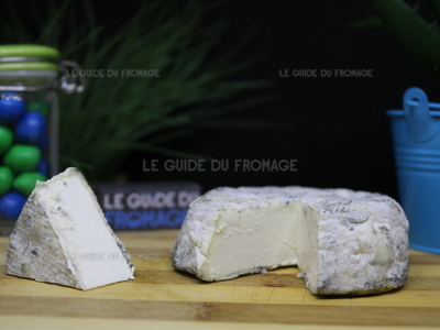 Fromage Selles sur Cher (Lait de Chèvre)