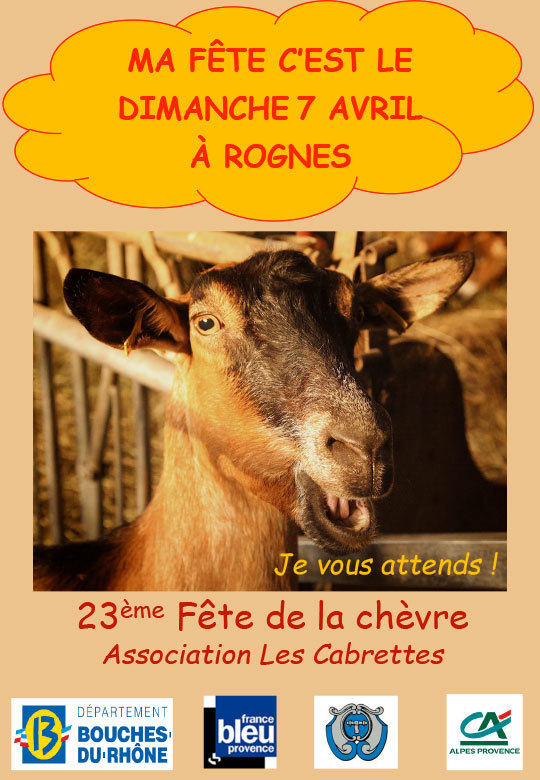 23ème fête de la chèvre à Rognes (13)