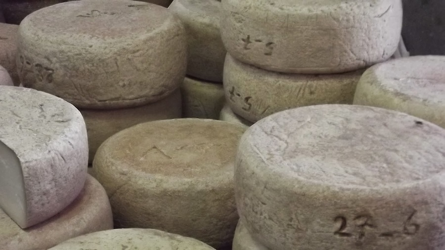 Le jour du fromage / Lo dia deu hromatge à Laruns