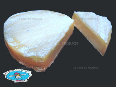 Fromage Lou Seillou des Causses (Lait de Brebis)