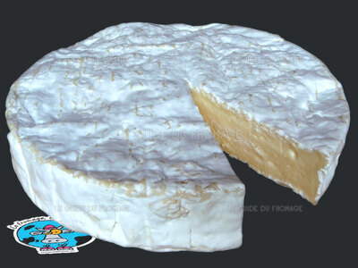 Fromage Brie de Montereau (Lait de Vache)