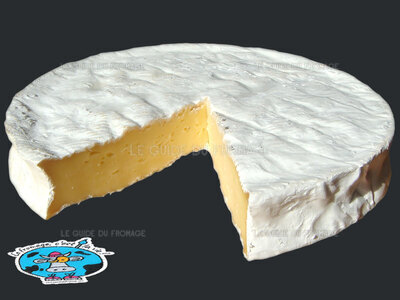 Fromage Brie de Nangis (Lait de Vache)