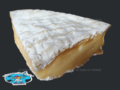 Fromage Brie de Provins (Lait de Vache)