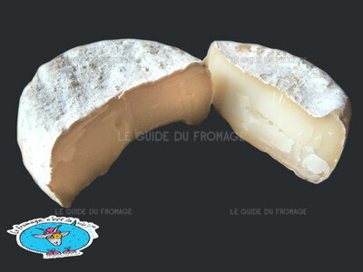 Fromage Séchon (Lait de Vache et/ou Chèvre)