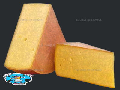 Fromage Gruyère (Lait de Vache)