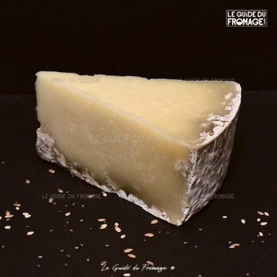 Fromage Cantal (Lait de Vache)