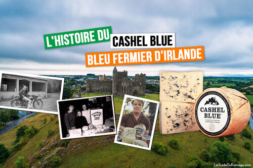 Fromage Irlandais Cashel Blue dans le Comté de Tipperary
