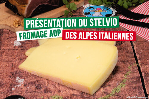 Tranches de Stelvio fromage Italien AOP