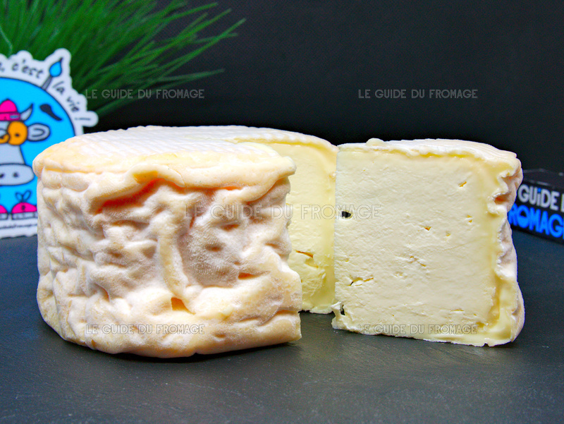 specialite fromage Rollot de Picardie